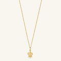 tortue mini