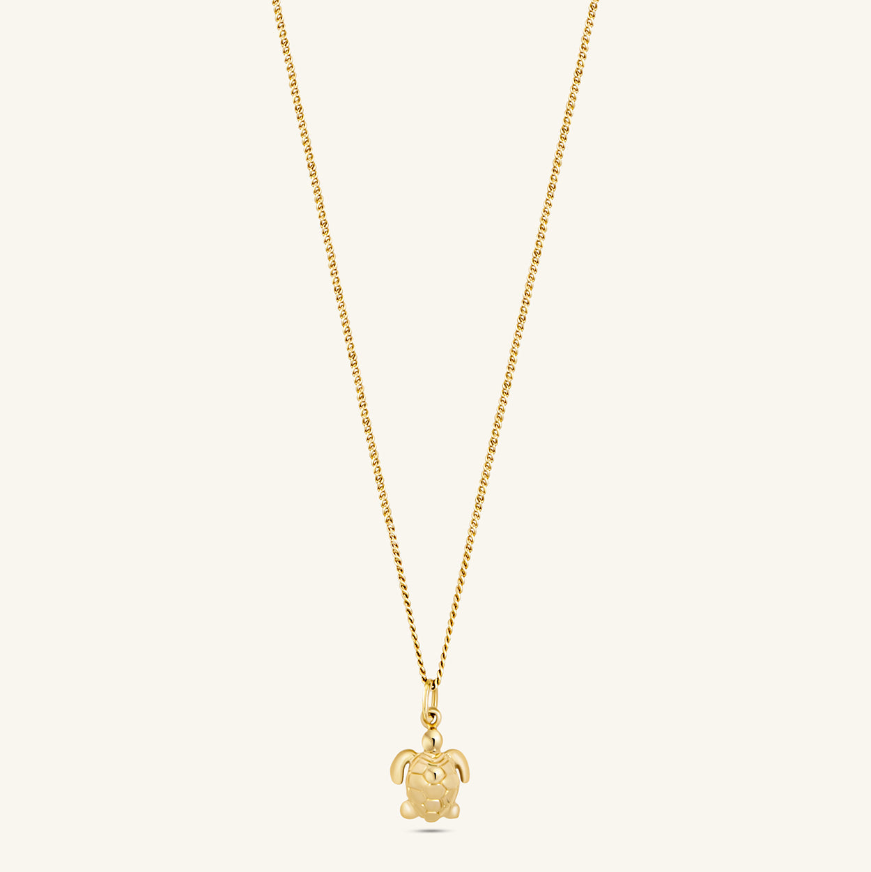 tortue mini